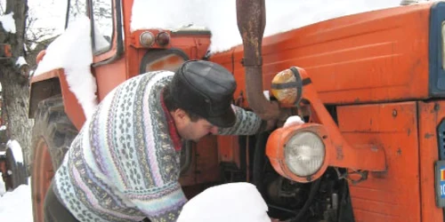 Arhivă