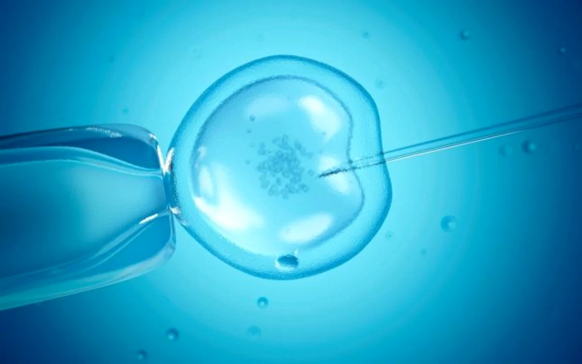 Tehnicile de reproducere umană asistată ajută cuplurile afectate de infertilitate