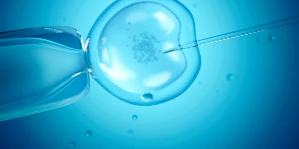 Fertilizare in vitro FOTO Sebastian Kaulitzki/Getty Images/Science Photo Library RF