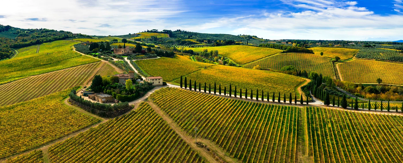 Dealuri cu vii din Toscana