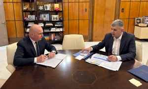 ilie bolojan marcel ciolacu jpg