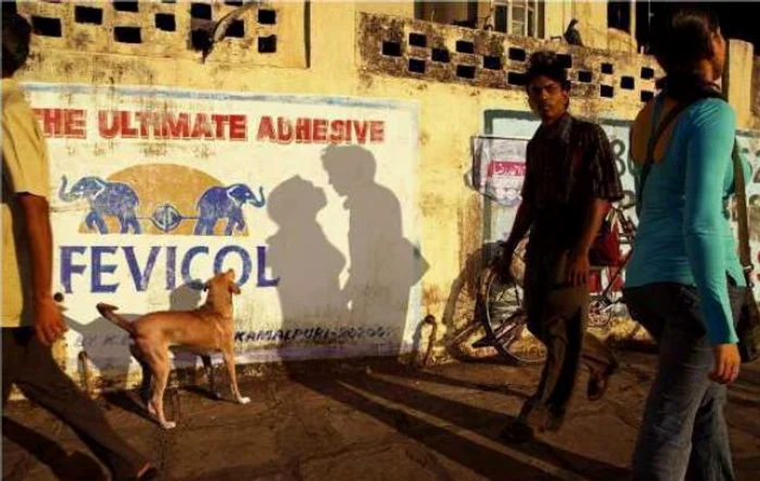 Priveşte cu atenţie!