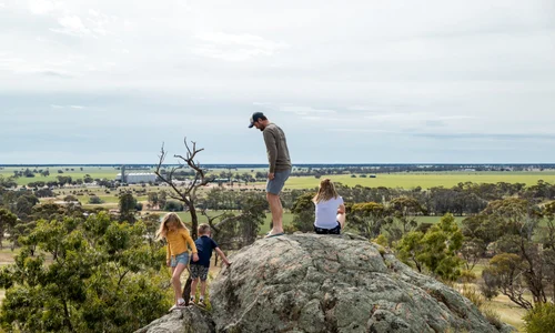 Mt Wycheproof jpg