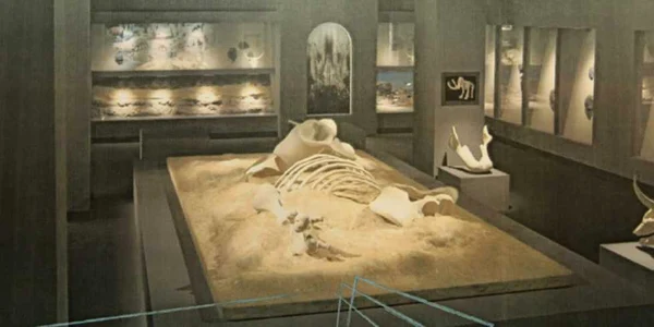 Mai multe situri din Oltenia sunt reconstituite la Secţia de Ştiinţele Naturii a Muzeului Olteniei