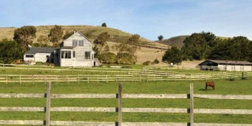 Vremuri bune pentru cowboy