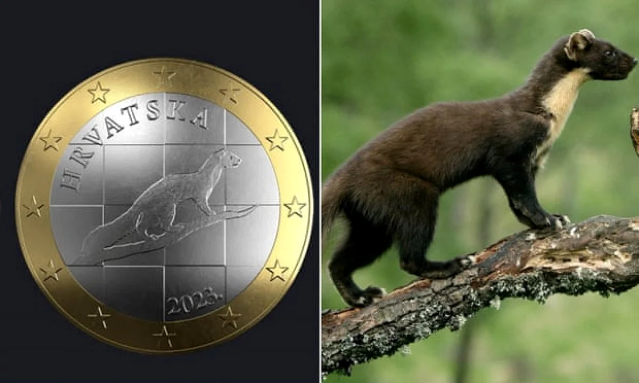 Faţa viitoarei monede de un euro a Croaţiei ar fi fost plagiată FOTO Iain Leach/SWNS
