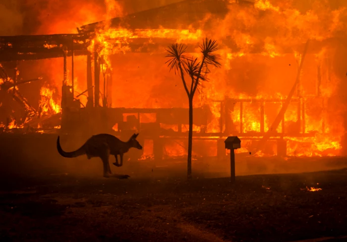 
    Gheţarul  neo-zeelandez  Franz Josef  a căpătat culoarea  caramelului  