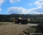 Autostrada Lugoj Deva, zona Holdea Margina Foto Daniel Guță ADEVĂRUL (41) jpg