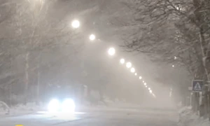 viscol bucuresti jpg