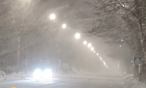 viscol bucuresti jpg