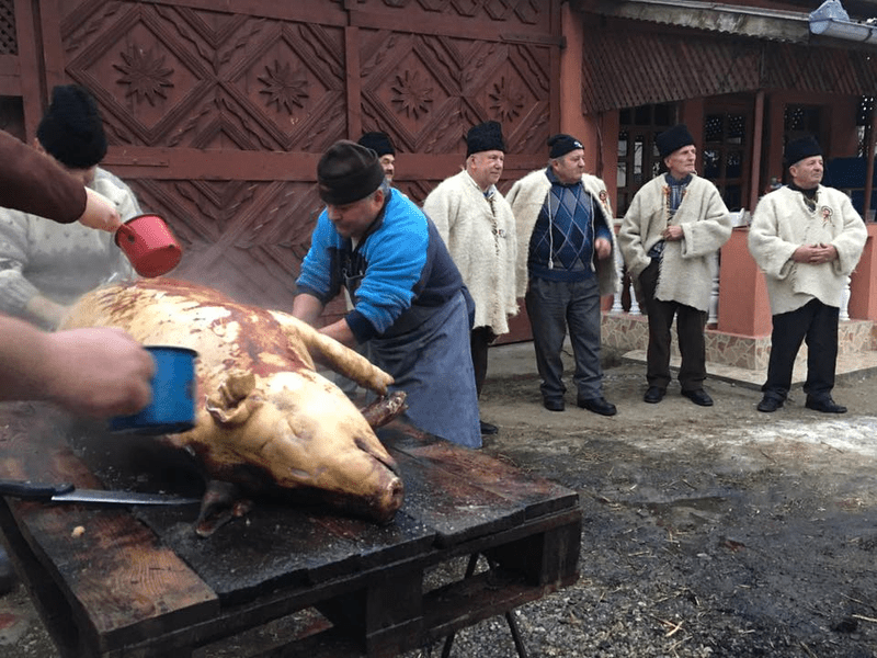 Tradiția de Ignat, la români. De ce se taie porcul în ziua de 20 decembrie, în preajma Solstițiului de iarnă