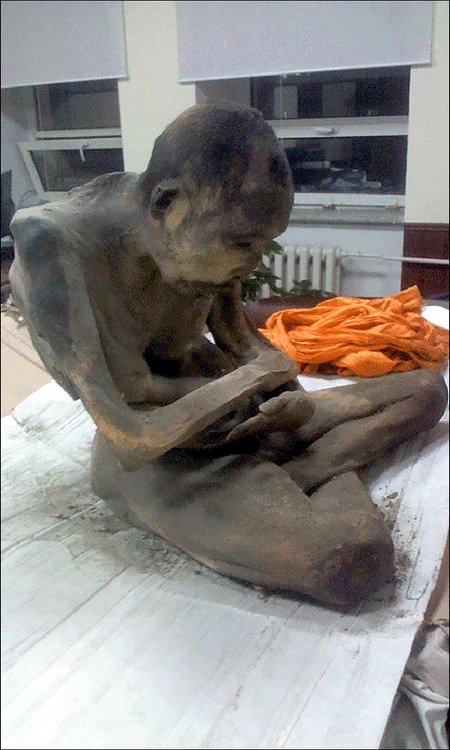 inside mummy jpg jpeg