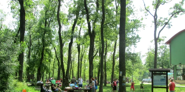 Parcul Natural Lunca Mureşului 