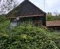 Bulzestii de sus, Hunedoara Foto Daniel Guță ADEVĂRUL (54) jpg