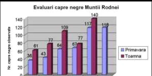 Bistriţa: Caprele negre la numărătoarea de toamnă
