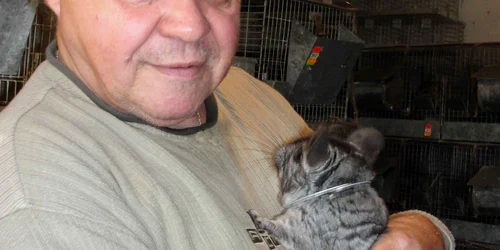 Gavril Papp-Exemplarul brown-velvet costa 850-900 lei