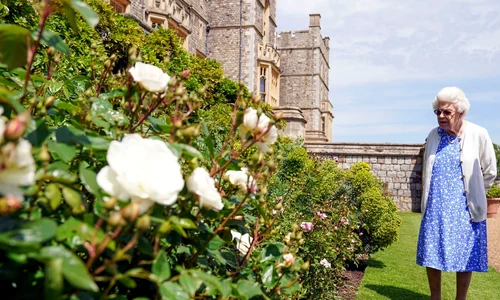 4 profimedia 0615014501 jpg jpeg