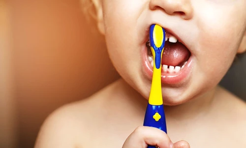 shutterstock 1358046383 jpg