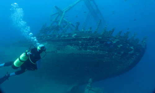 dive 225580 1280 jpg