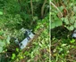 Imagini de la accidentul din Vâlcea de pe DJ 643B unde un tânăr rănit a fost abandonat în maşină de către prietenii săi Foto gazetavalceana ro