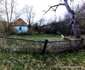 Barastii Iliei Foto Daniel Guță ADEVĂRUL (76) jpg