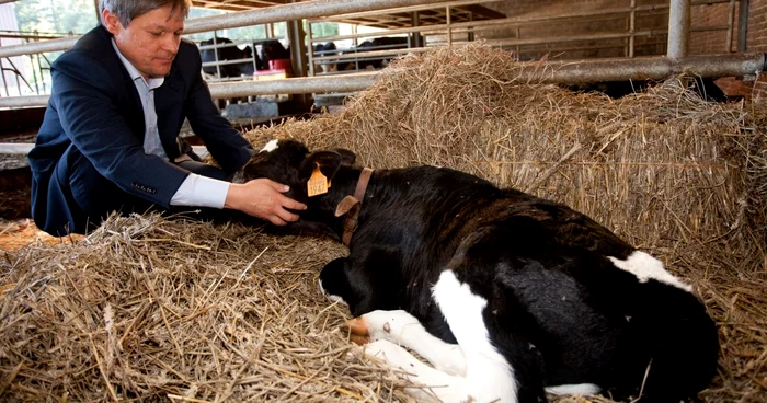 Comisarul român Dacian Cioloş a anunţat cele mai importante schimbări ale politicii agricole a UE