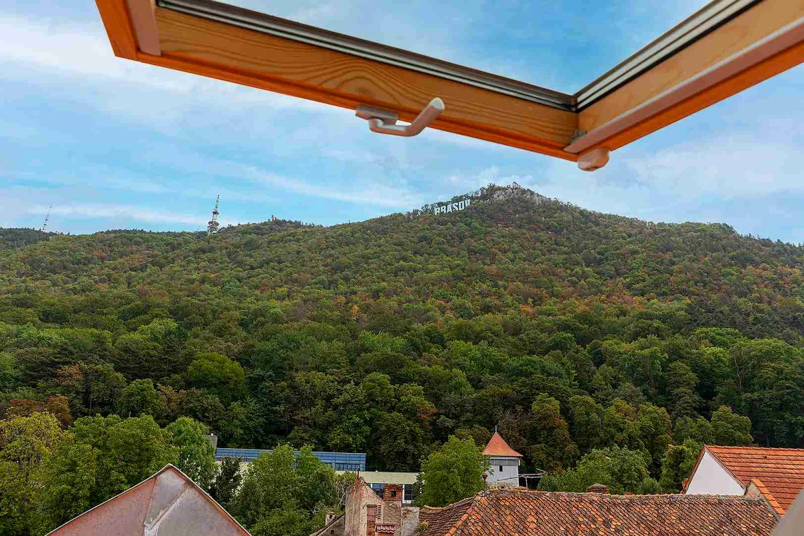 velux1 jpg