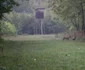 Rezervaţia de mufloni de la Negureni - Constanţa