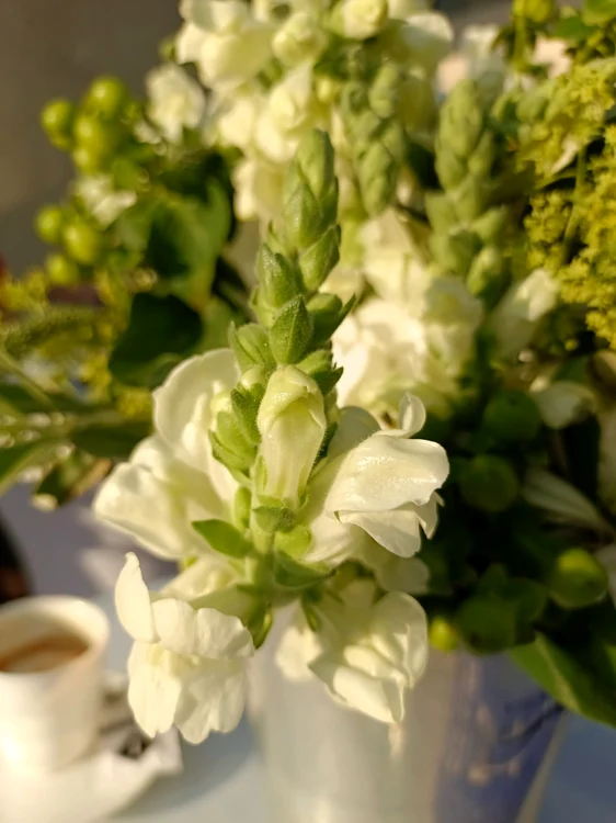 Fotografii cu vivo v21 5G