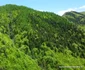 Valea Anineșului și cetatea dacică Vârful lui Hulpe Foto Daniel Guță (2) JPG