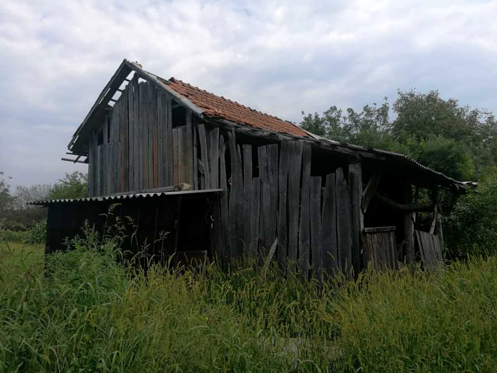 Şura