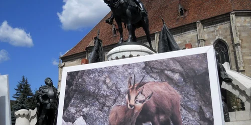 Fotografia de care Dan Dinu este cel mai ataşat dintre toate fotografiile expuse în centrul Clujului
