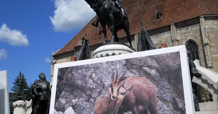 Fotografia de care Dan Dinu este cel mai ataşat dintre toate fotografiile expuse în centrul Clujului