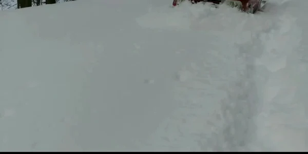 5a982481df52022f751bc52b jpg