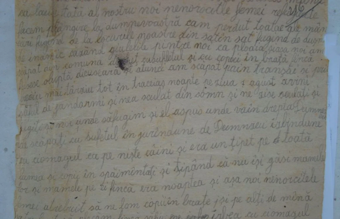 Reclamaţia se află în fondul arhivistic al Vrancei