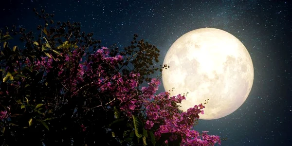 luna foto shutterstock