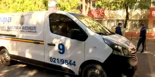 Autoritatea pentru Supravegherea şi Protecţia Animalelor_ foto_Digi24