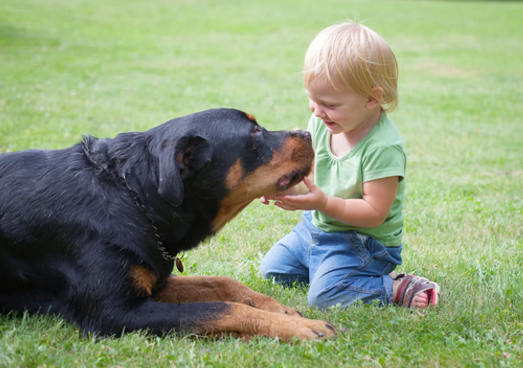 Copil pe iarbă cu un câine. Foto: Shutterstock