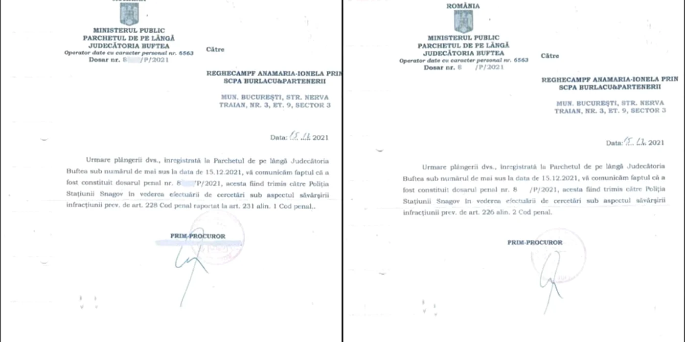 Anamaria Prodan a publicat documentele pe Instagram 