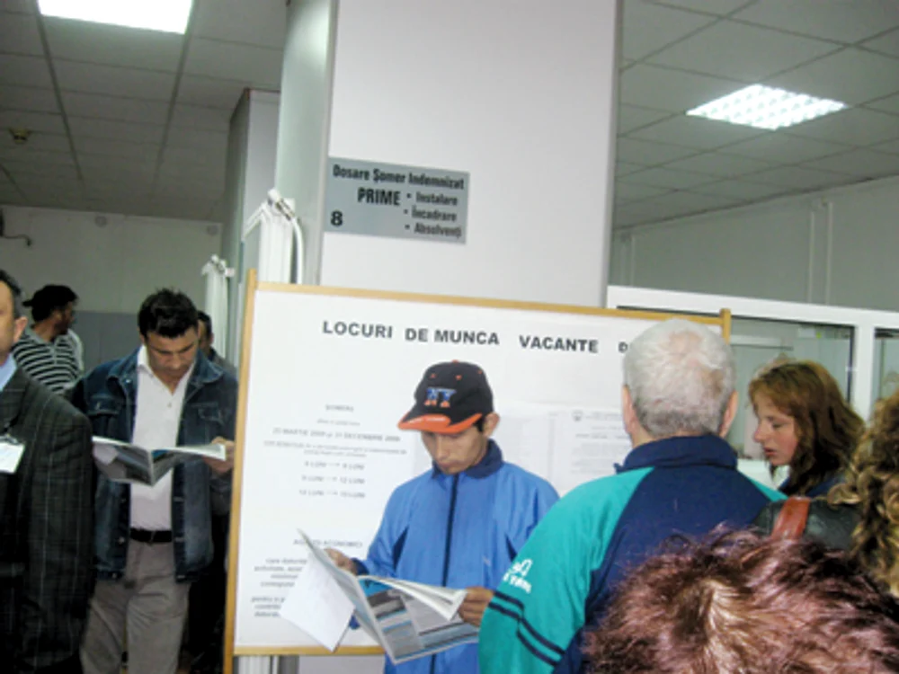 Oradea: Ofertă slabă la bursa locurilor de muncă organizată de AJOFM