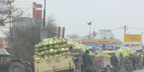 Varză şi cartofi, la jumătate de preţ faţă de piaţă şi supermarket-uri
