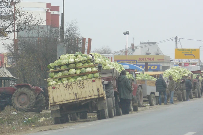 Varză şi cartofi, la jumătate de preţ faţă de piaţă şi supermarket-uri