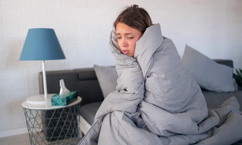 1 shutterstock 2033864108 jpg jpeg