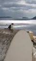 santorini profimedia jpg