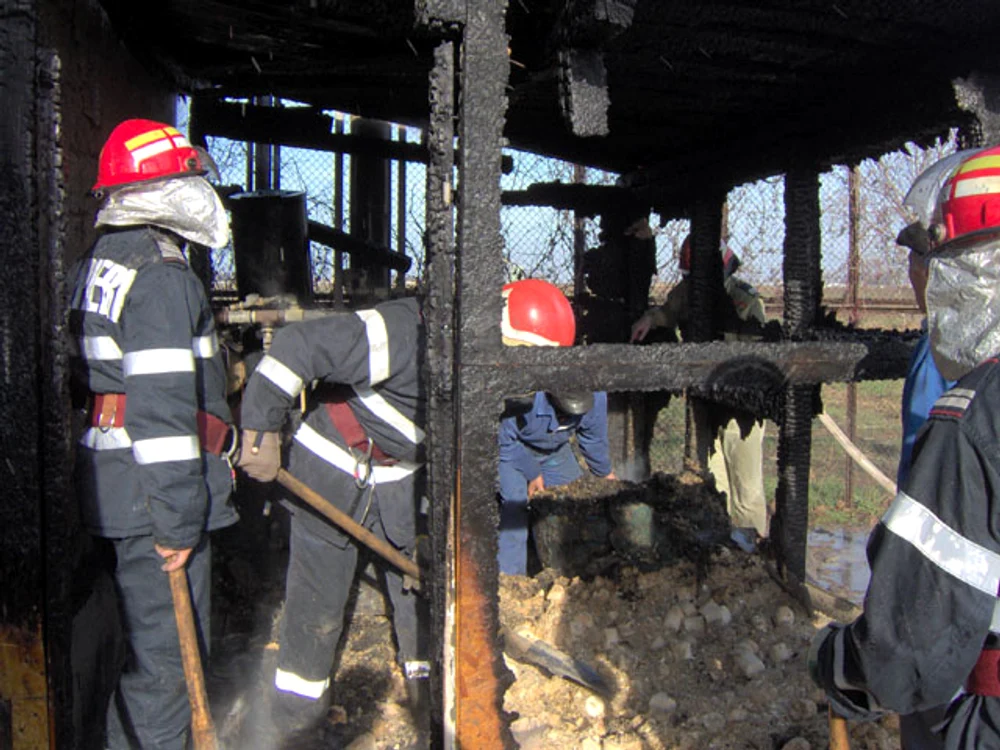 Incendiul a cuprins saivanul