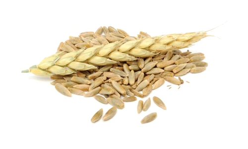 1 59078 original jpg jpeg