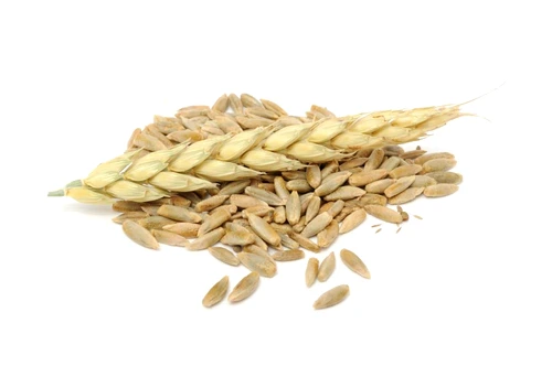 1 59078 original jpg jpeg