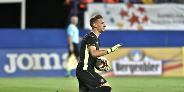 radu