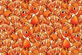test1 jpeg
