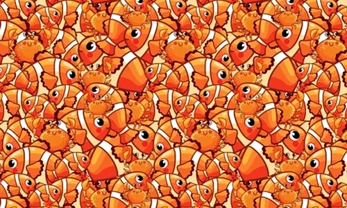 test1 jpeg